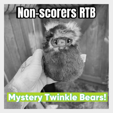 *Reserved Listing!* Mystery Twinkle Bear